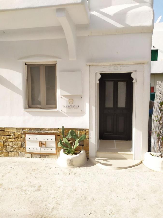 Narcissus Luxury Suites Naxos City Екстериор снимка