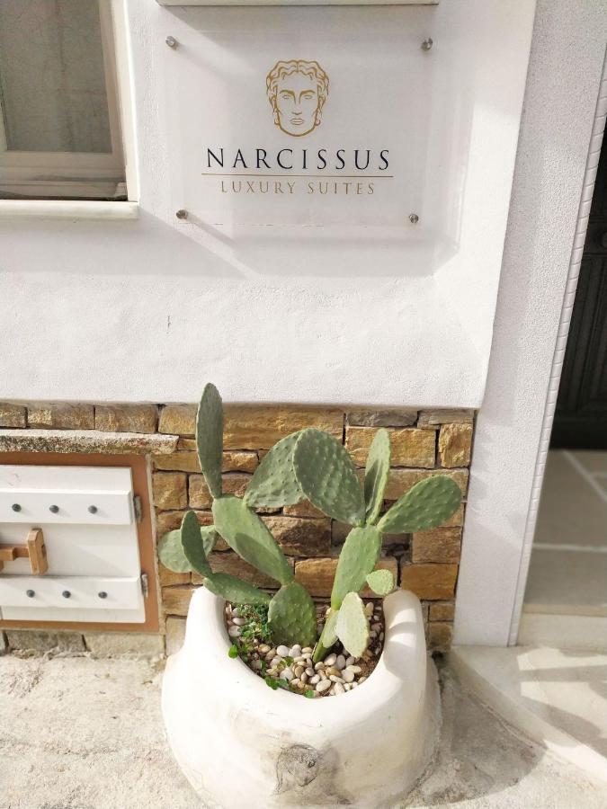 Narcissus Luxury Suites Naxos City Екстериор снимка