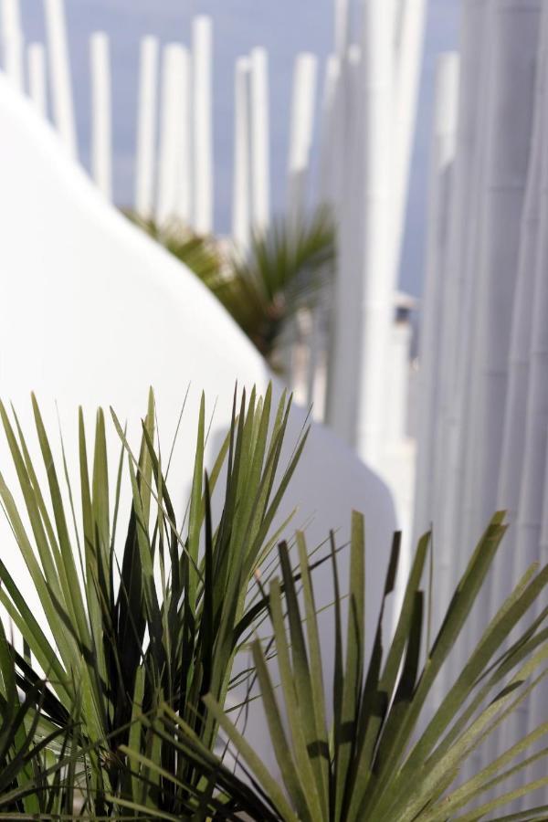 Narcissus Luxury Suites Naxos City Екстериор снимка
